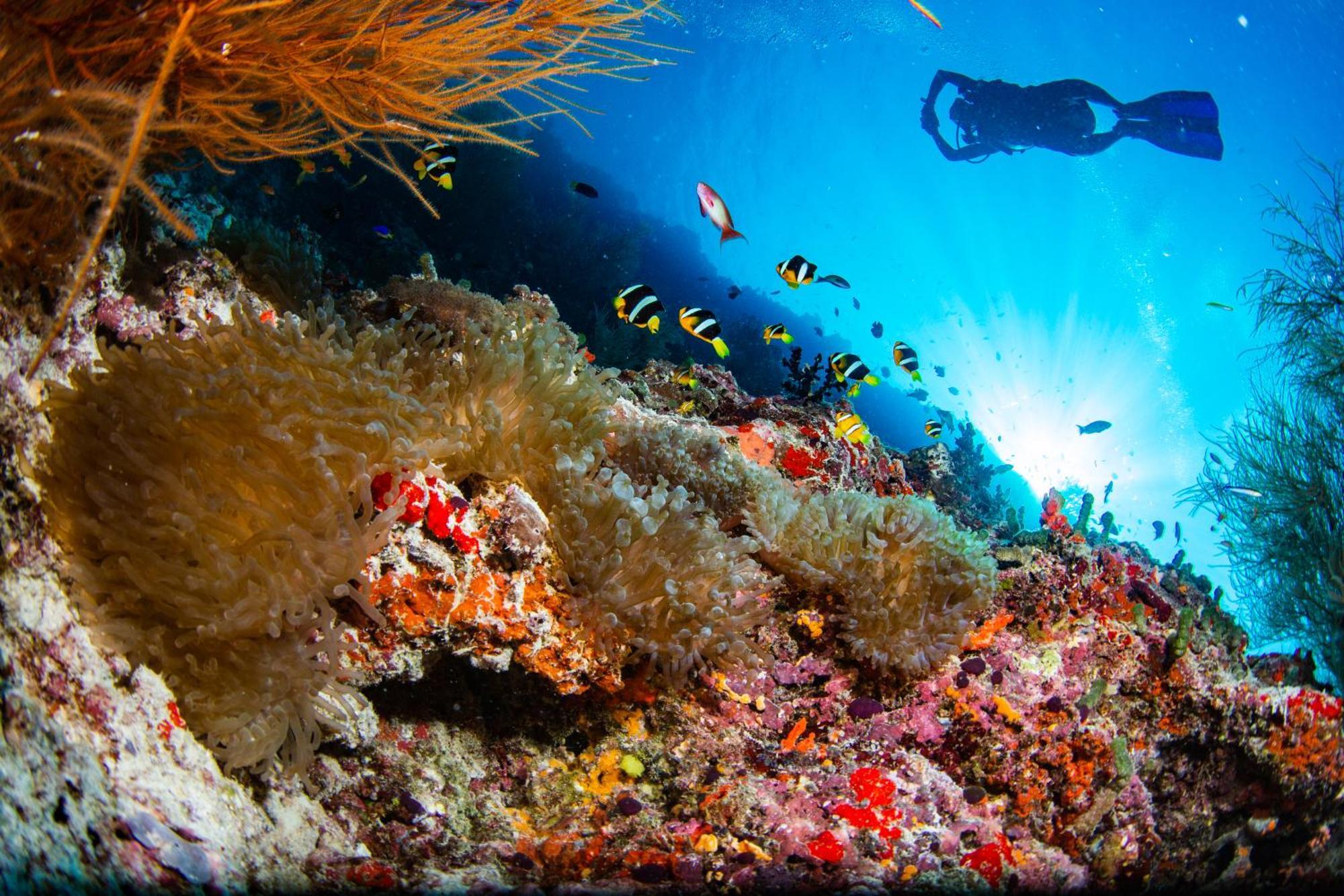 Noku Maldives, Vignette Collection By Ihg, 50 Percent Off Shared Roundtrip Seaplane Transport When You Stay 4 Nights Or More Stay Period Until 23 Dec 2025 (Adults Only) Kudafunafaru Exterior foto